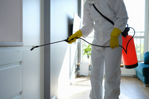 Best Commercial Mold Removal  in Raleigh, NC