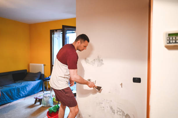 Best Professional Mold Removal  in Raleigh, NC